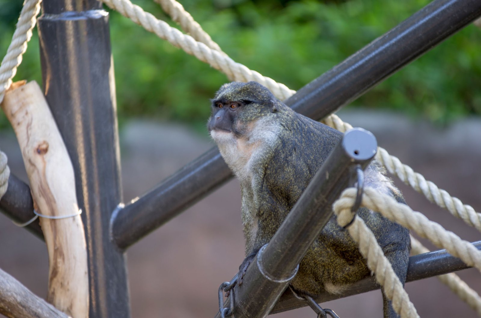 San Diego Zoo Part I 121